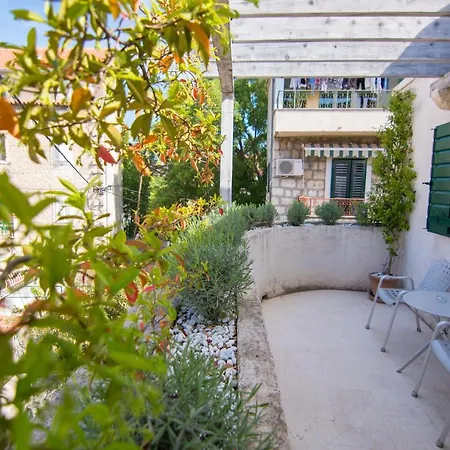 Hotel Divota 4*