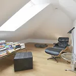 Divota 4*